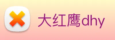大红鹰dhy logo